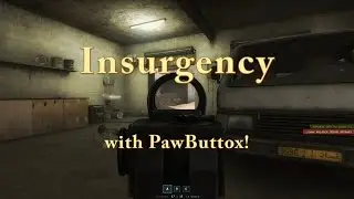GingerBraFace Plays Insurgency with Pawbuttox