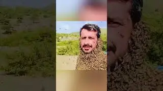 Cat daddy issues..  #compilation #funny #win #fail #laughs #clips #cringe #wins #fails #humor #lol