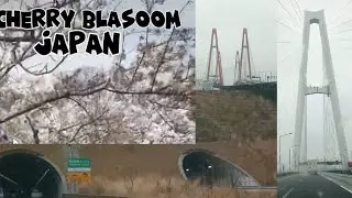 tadtad ng tunnel at malalaking tulay ang japan grabi.😯 part two shiga. with cherry blasoom