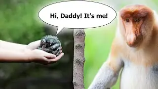 Captivating Encounters: Little Kids Meet Fascinating Animals for the First Time