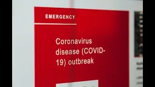 What is Coronavirus (COVID-19)? Spread, Economic Cost and Solutions