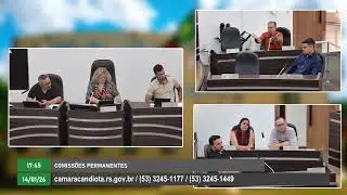 COMISSÕES PERMANENTES