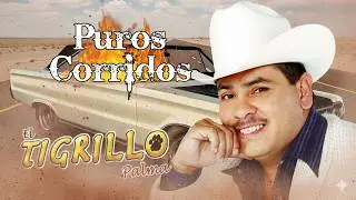 El Tigrillo Palma | Corridos Perrones de Pura Calidad 💯 &iexcl;Grandes &Eacute;xitos!