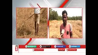 AGRICULTURE &lsquo;BABUS&rsquo; BLOCK FARMERS&rsquo; SUBSIDY QUOTING RULES_Prudent Media Goa