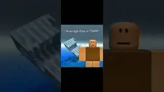 Average Day in TNRP