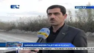 Yevlax rayonu Qaraoğlan kəndinin sakinləri sosial problemlərinin həllini istəyirlər.