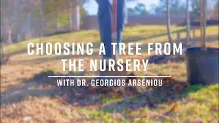 Choosing a Tree from the Nursery