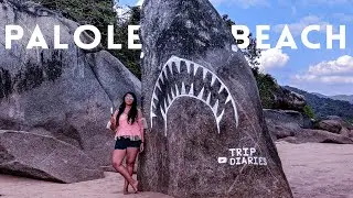 Palolem Beach shark stone in South Goa | Drone Shots | Vish and Trip | Mavic Mini
