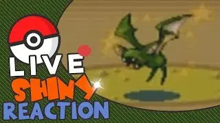 Shiny Zubat after 15863 RE's in Granite Cave! :D