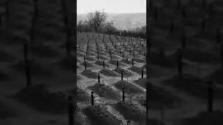 Action T4: A Tale of Nazi Brutality and Eugenics #history #education #documentary