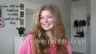 Top 5 Online Rabbit Shops