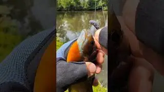 DIY Fishing lure. Cheap, Easy, Fast.