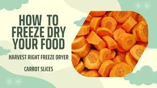 How to Freeze Dry Carrot slices
