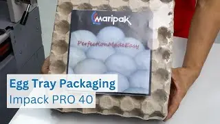 Side Sealer Packaging Machine, Intermittent Motion, Egg Tray Packaging