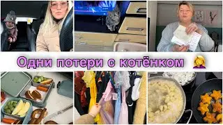 Vlog🇩🇪 такой дорогой диван , не повезло с ним / ущерб от котенка / влог из Германии 