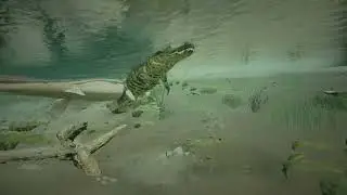 Path of Titans - Tylosaurus vs. Deinosuchus (004)