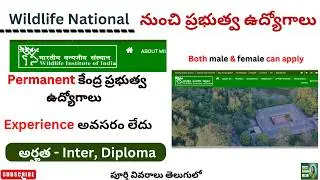Wildlife Institute of India Recruitment 2025 || latest central government jobs || diploma jobs ||