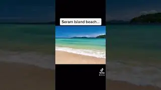 Strangest Things Found On Beaches 🏖
