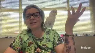 How I Stopped My Cockatoo&rsquo;s Bleeding 🩸