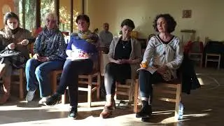 DetoxDigital - review prof. Camelia Cimponeriu