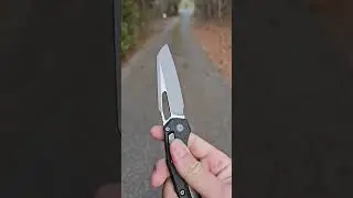 Walkin' & Flickin' - Microtech MSI