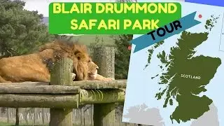 A tour of Blair Drummond Safari Park Scotland | Scotland tours