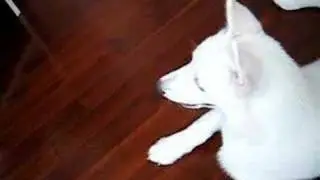 When Hugo meets 
