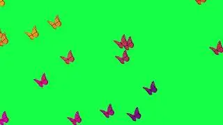 4k Butterfly Overlay Video Star Green Screen. Green Screen Butterflies.