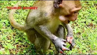 Oh My God poor baby Janet very hungry, Her food full in mouth, Jane tired&stop care Janet