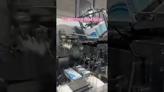 Customized Cartoning Machine