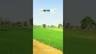 #farming #farmer #khetibadi #desiculture #desibalak #farm #khandani #trending #viral #agario #song