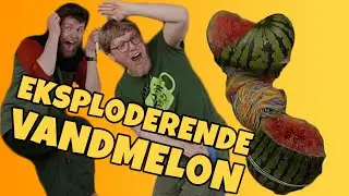 Vilde forsøg med elastikker #vandmelon