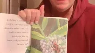 Let&rsquo;s Read a Book with Sweet T