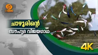 ചാഴൂരിന്റെ സൗഹൃദ വിജയഗാഥ || KRISHIDARSHAN || DD MALAYALAM || #ddmalayalam #krishidarshan