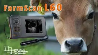 FarmScan L60 Handheld Ultrasound System