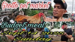Grotto pet market , budget meal , Sept 14 2025 Subday .