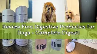 Review Finn Digestive Probiotics for Dogs - Complete Digestive System Support with Pumpkin, Prebioti