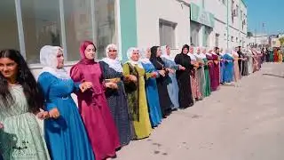 Yusuf Evin - Arda Evin - ABLAK VE TUMSAL AİLERİ&rsquo;NİN D&Uuml;Ğ&Uuml;N&Uuml; SEGAVİ  PART 5  [ 2026&copy; ]