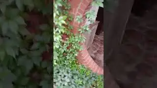 HOBBIT DOOR
