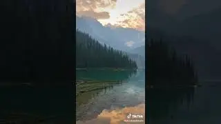 Travel Through Nature in 15 Seconds 🚶&zwj;♂️ #earth