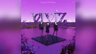VIVIZ - 