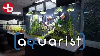 Aquarist - My First Job PC Gameplay