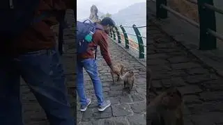 😍Can you name this hidden gem in Maharashtra..🚩 #travel #vlog #ytshorts #nature #explore #couple