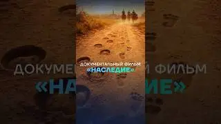 🇧🇷  Фильм о Кавалькаде в Брумале