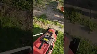 Bushless Yard