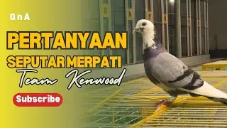 TANYA JAWAB BERSAMA MAS JONED KENWOOD