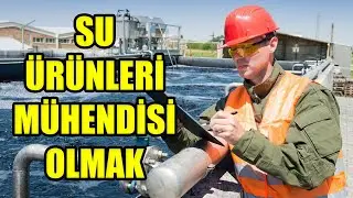 Su Ürünleri Mühendisi ve Dalgıç Nedir? Ne İş Yapar? | Sıtkı Can Bayar yorumluyor