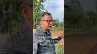 Chhattisgarh ka hara Sona Tendu patta