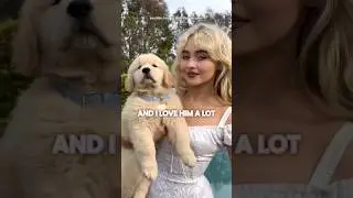 How Sabrina Carpenter teased Man's Best Friend 🤣 #shorts #sabrinacarpenter