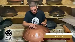 VIBE Handpan - D Pygmy